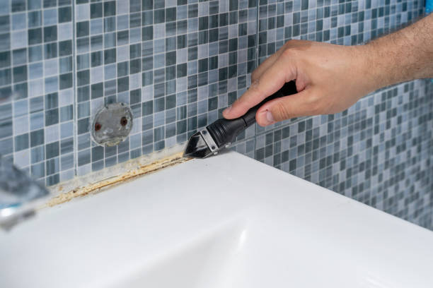 Best Localized Mold Remediation (e.g., coastal areas, humid climates) in Hudson, FL